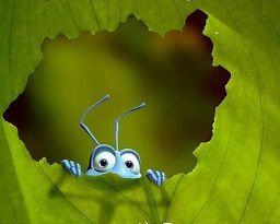 在感情的世界里,一统江湖的唯有爱商