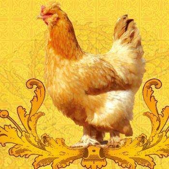 详细介绍流产后的注意事项