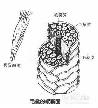 化学中离子的概念,化学基础知识离子