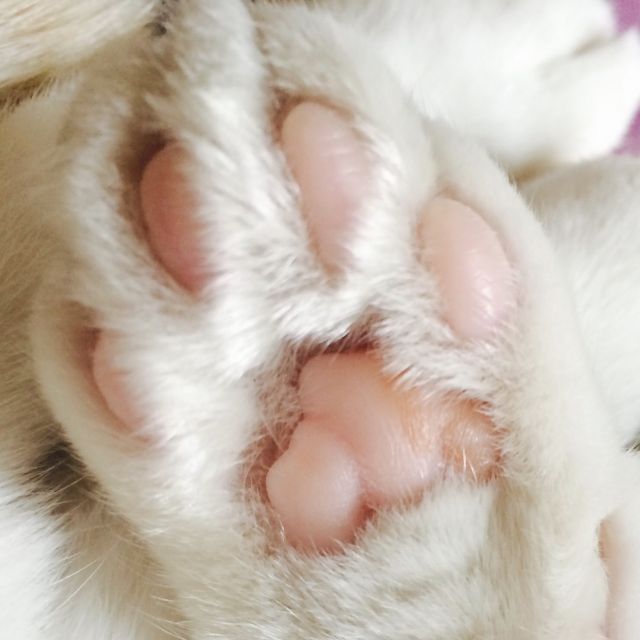 全都太有才了！NGA论坛水友集体COSPLAY魔兽世界技能图标