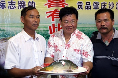 来肇庆端州旅游去哪玩,去肇庆市旅游带什么手信