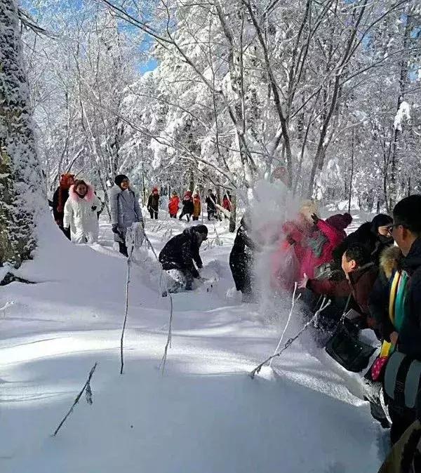 最纯净的雪乡,最美小镇雪乡