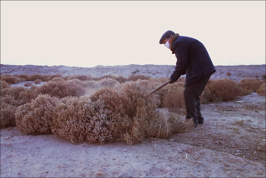 蓬灰是这样烧制出来的,烧制蓬灰水农村怎样熬制