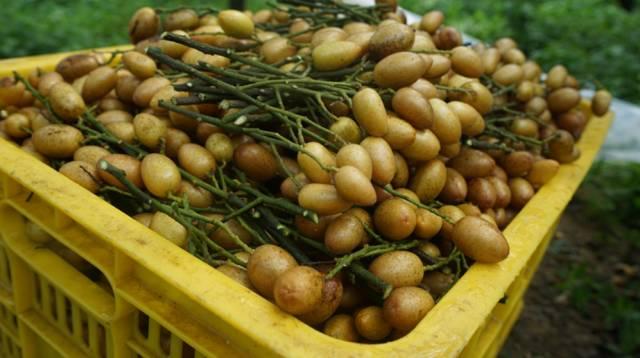 砥砺前行的五年感想,砥砺奋进的这五年