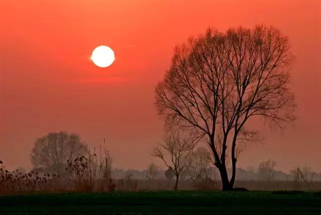 小小说乡村故事,小小说在线阅读