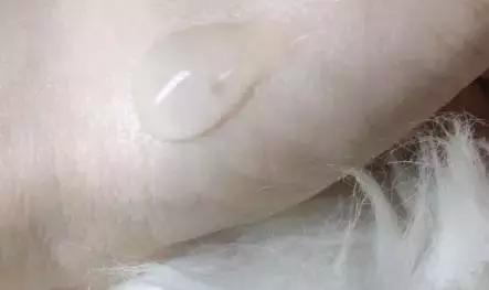 CPB!LAMER!这些精华吃一辈子土也要用!