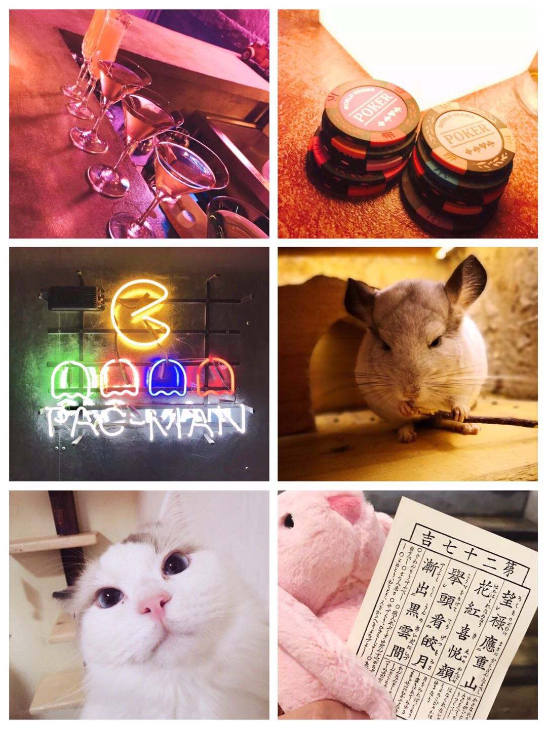 魔都12月活动,魔都12月优质展览大全