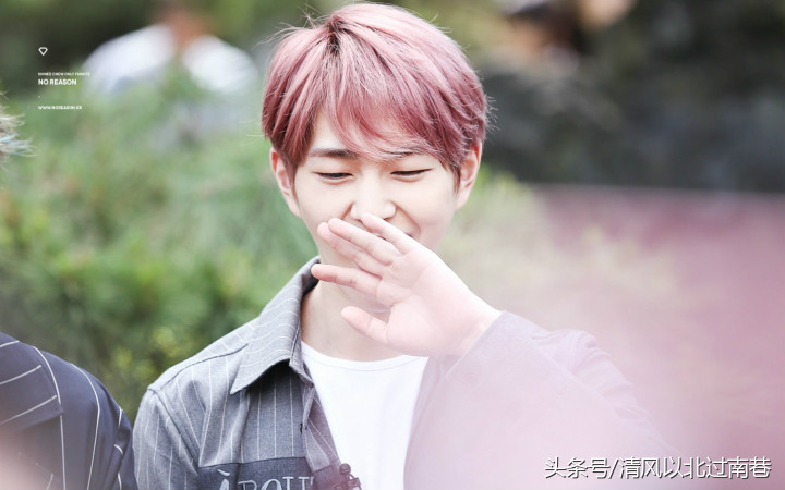 忙内团宠团霸,忙内为什么是团宠