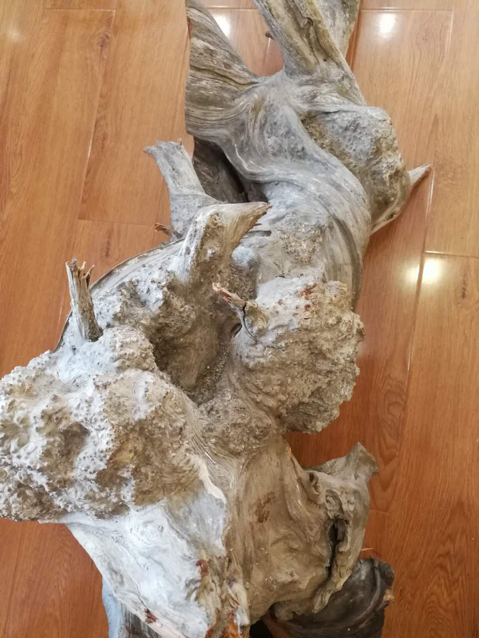 造假瘤疤崖柏手串,崖柏瘤疤手串为何会有小洞