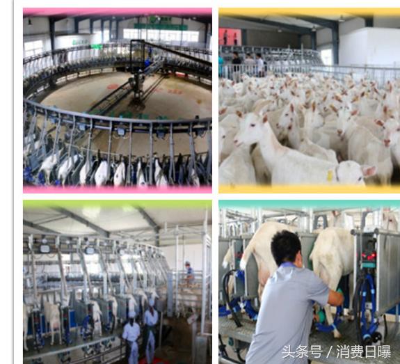 拿到9个配方注册,和氏、美力源、关山都有1款100%纯羊配方奶粉