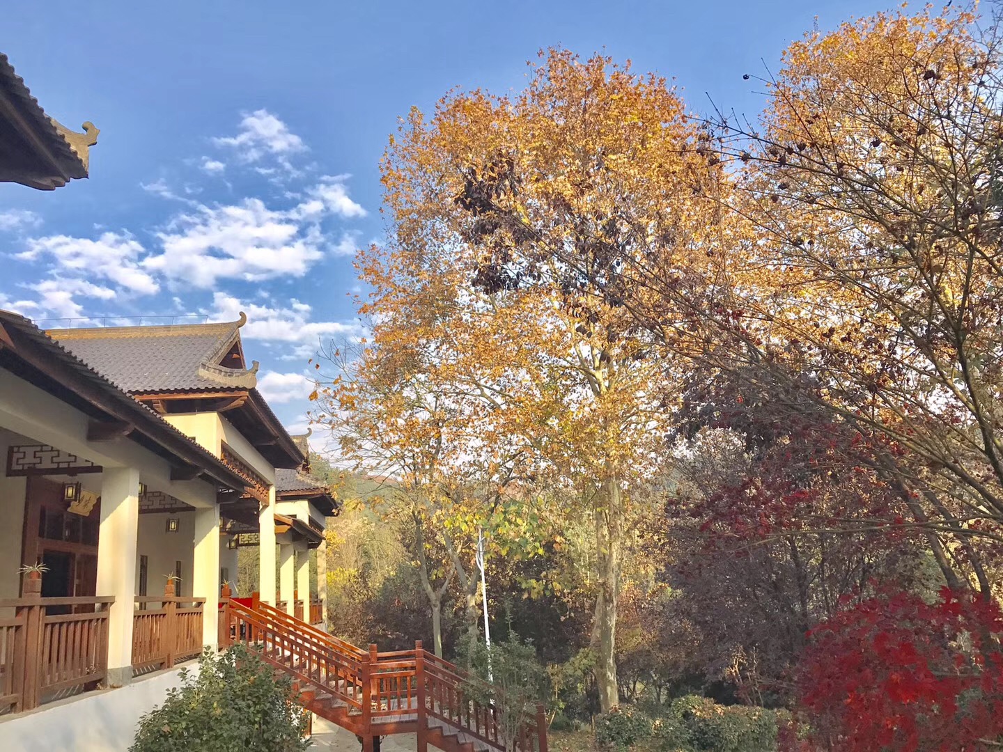 花乡茶谷最好的地方,冬日花乡茶谷