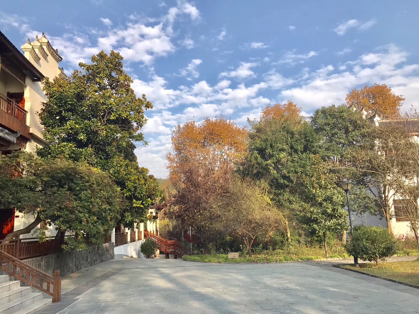 花乡茶谷最好的地方,冬日花乡茶谷