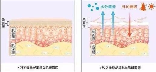 杨幂同款热喷蒸脸器,杨幂护肤面膜