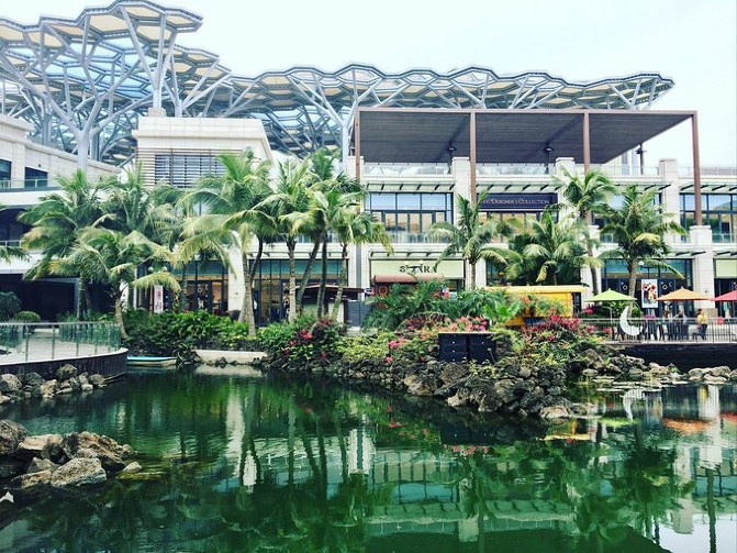 邂逅美丽椰城海口自由行攻略,海南岛自驾游摘椰子