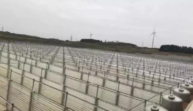 威海临港区有发展空间吗,威海临港区发展得怎么样