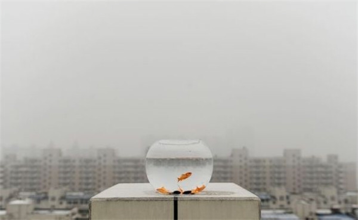 成都青城山探险,成都青城山冬季旅游攻略图