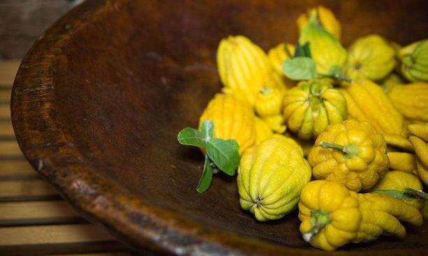 佛手柑|我自拈花笑，清风徐徐来