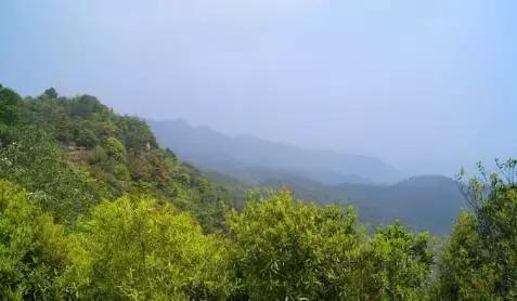 来清远必须要打卡的几个地方,清远市区可以逛的地方