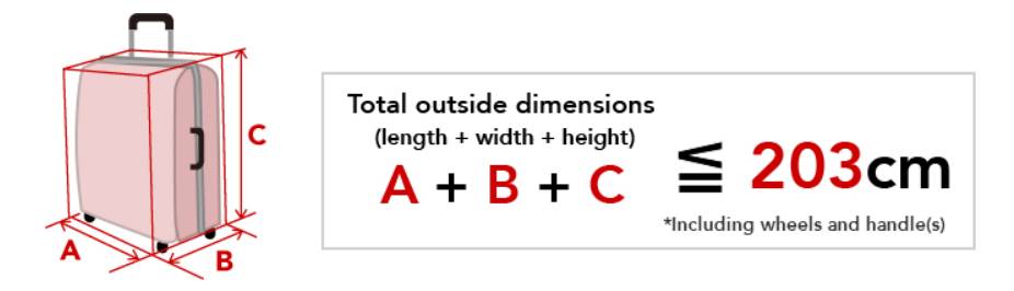 航空携带行李最新规定,航空公司旅客行李携带规定