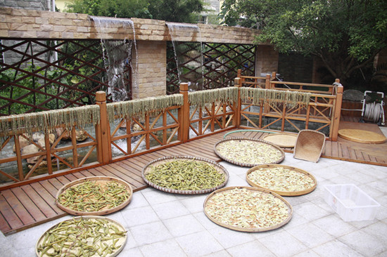 来肇庆端州旅游去哪玩,去肇庆市旅游带什么手信