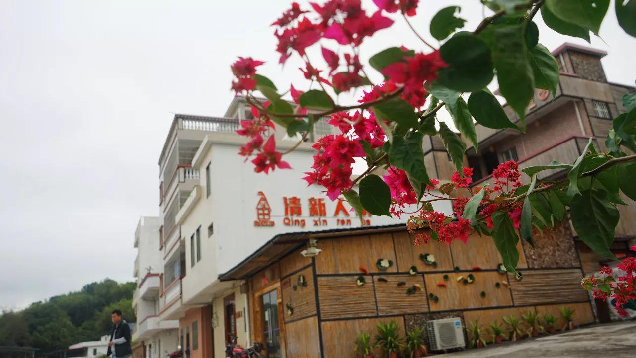 砥砺前行的五年感想,砥砺奋进的这五年