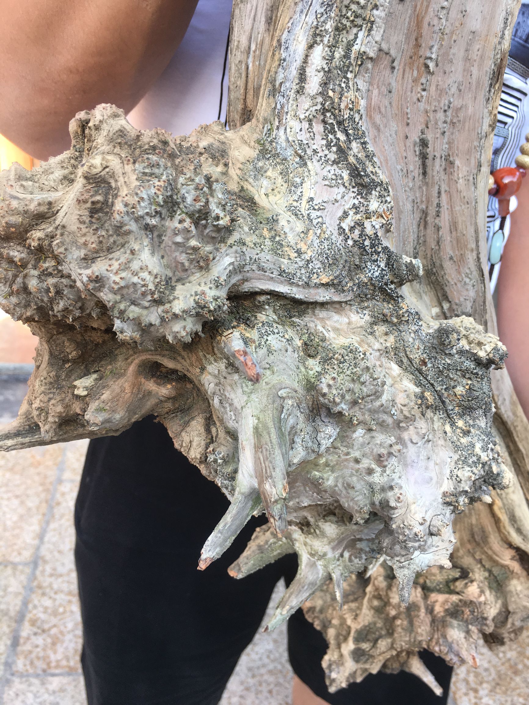 造假瘤疤崖柏手串,崖柏瘤疤手串为何会有小洞