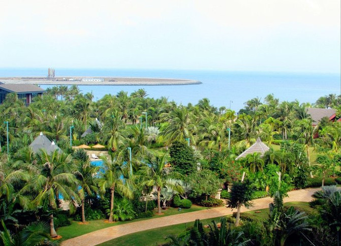 邂逅美丽椰城海口自由行攻略,海南岛自驾游摘椰子