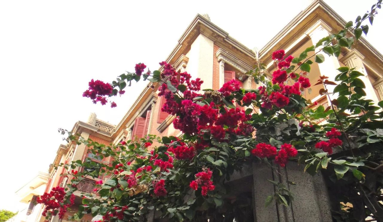 厦门除了鼓浪屿,你绝不能错过地道的厦门美食,超详细美食攻略