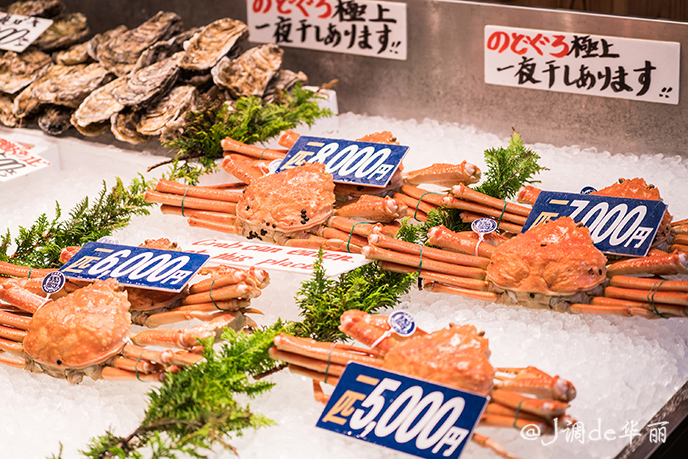 日本金泽看海,日本金泽旅游视频