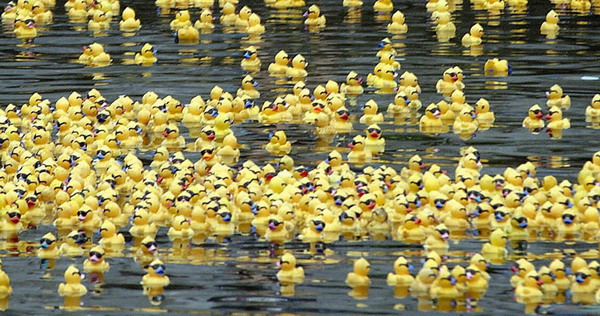 每日一个冷知识,每日一冷的十大知识