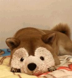 家用甲醛测试仪测得准确吗,家用甲醛检测仪准不准