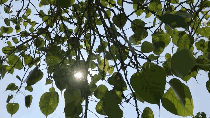 角度|宝安这些地方,能让你一秒爱上跑步!