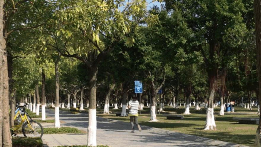 角度|宝安这些地方,能让你一秒爱上跑步!