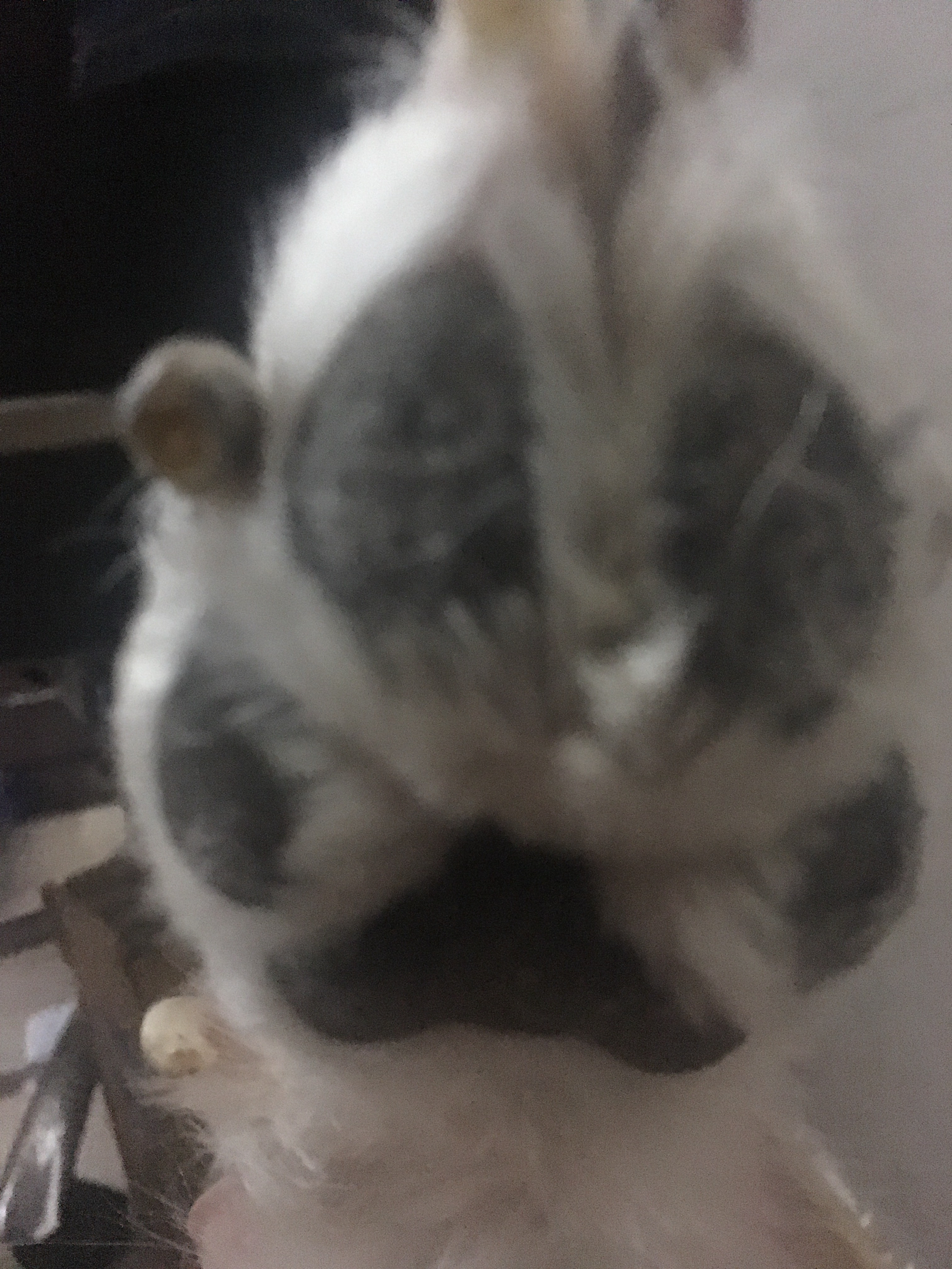 全都太有才了！NGA论坛水友集体COSPLAY魔兽世界技能图标