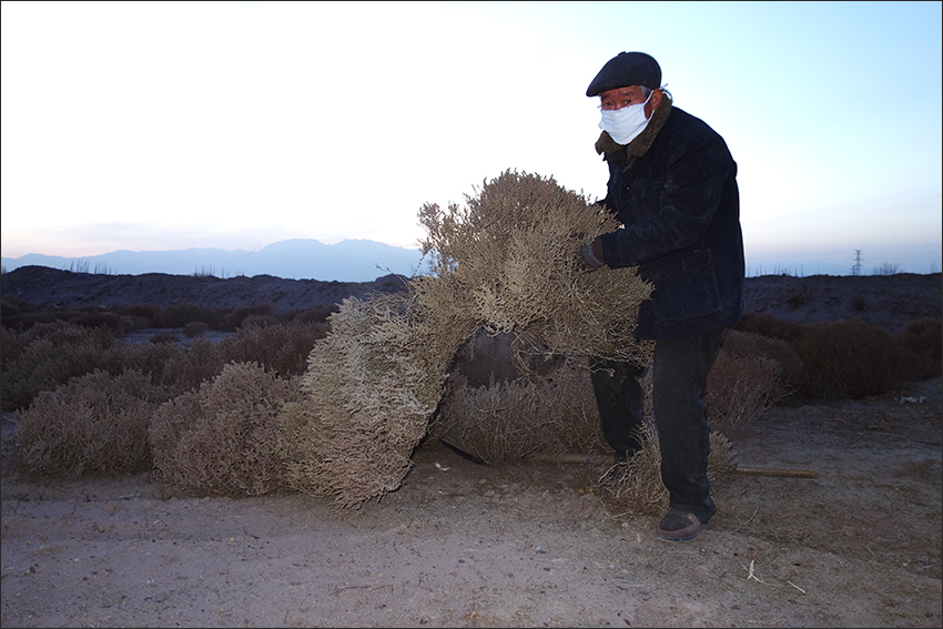 蓬灰是这样烧制出来的,烧制蓬灰水农村怎样熬制