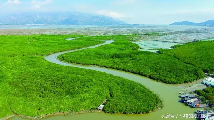 为漳州云霄美食打call,云霄食百味
