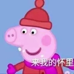 小猪佩奇沙雕配音撒娇表情包,各种小猪佩奇表情包