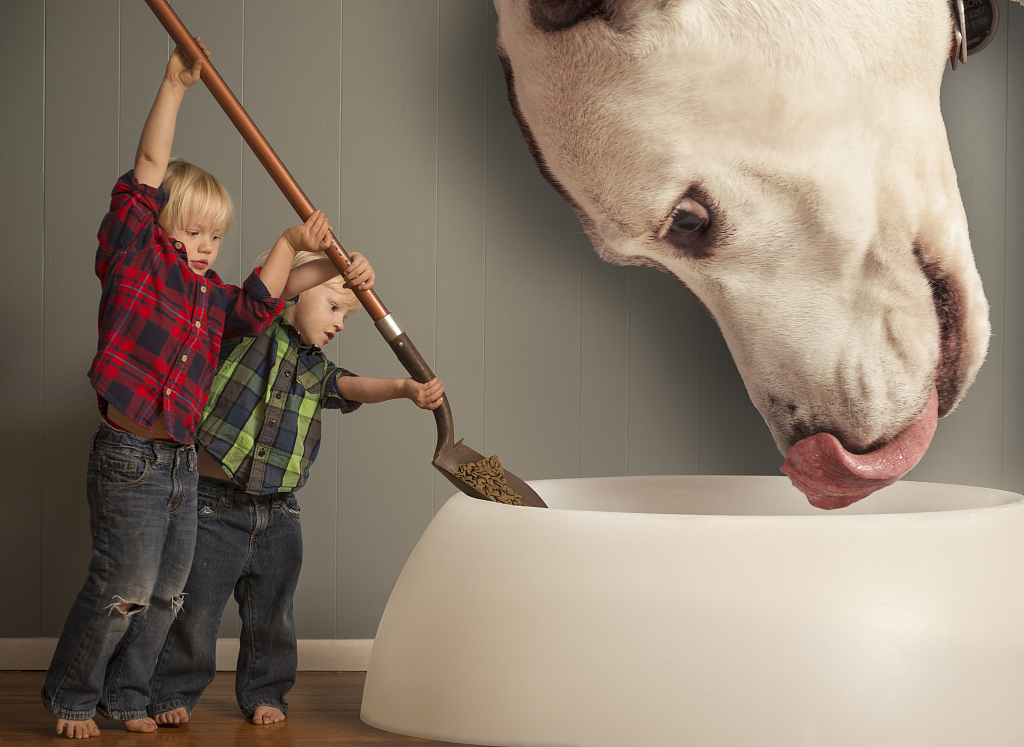 丹麦肠胃益生菌,德国益生菌调理肠胃成人推荐