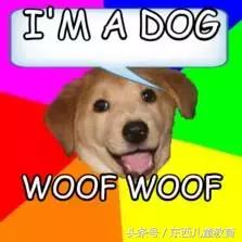 一篇吃透全部英语语法算是干货,一篇文章说清平仄格律