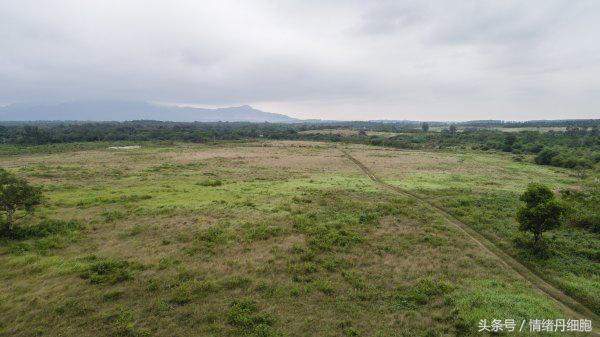 地图采集员一般月收入多少万正常,地图信息采集员工作靠谱吗