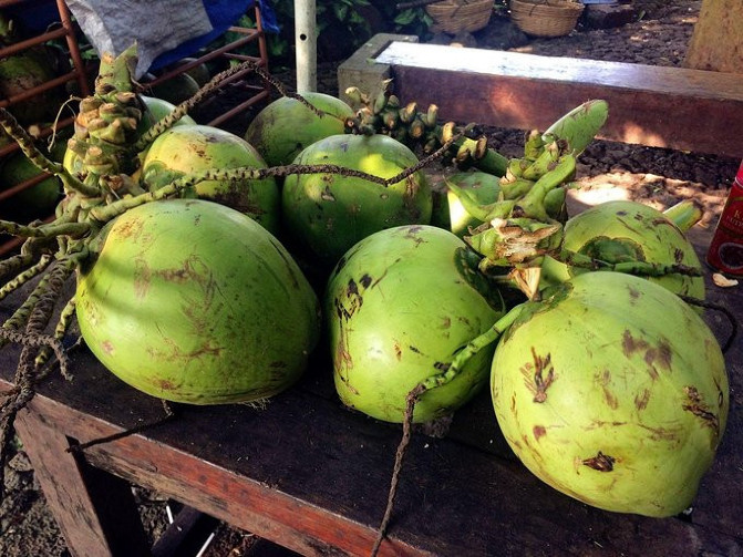 邂逅美丽椰城海口自由行攻略,海南岛自驾游摘椰子