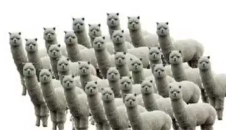 透视也配称为外挂？看一下游戏那些丧心病狂的游戏外挂！