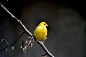 每日一个冷知识,每日一冷的十大知识