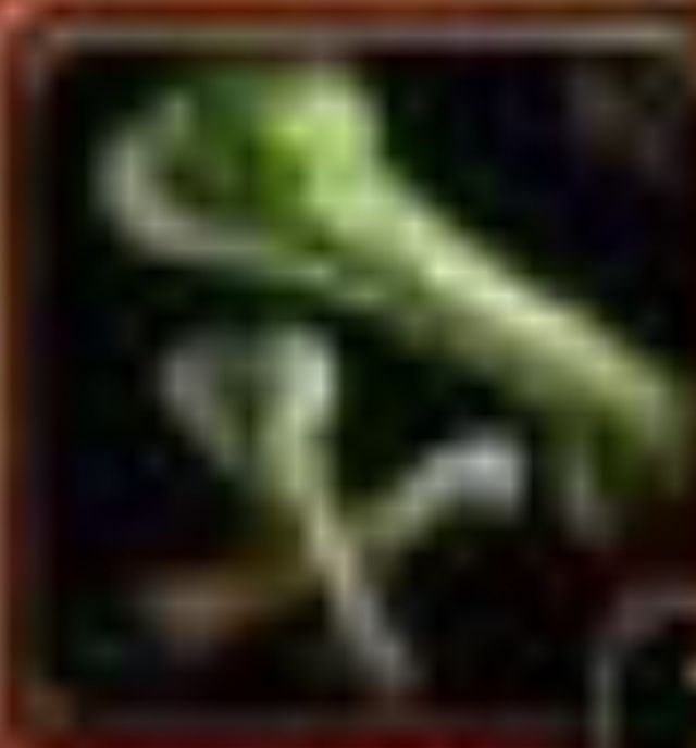 全都太有才了！NGA论坛水友集体COSPLAY魔兽世界技能图标