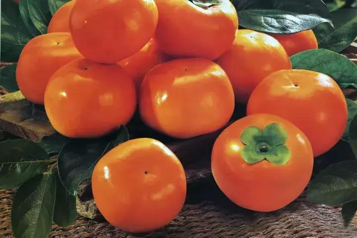 最纯净的雪乡,最美小镇雪乡