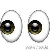 爱妖经|用这些拌饭料来制霸主子的味蕾