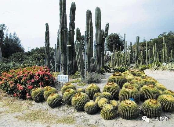 厦沙复线三明段,最新厦沙高速全线通车