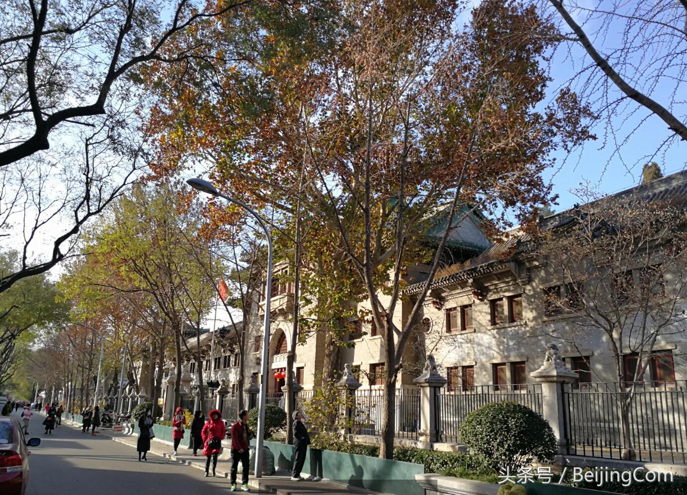 消失了的辅仁大学留下的名校记忆