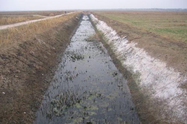 农村消失的老作坊,农村老方法腌豆腐