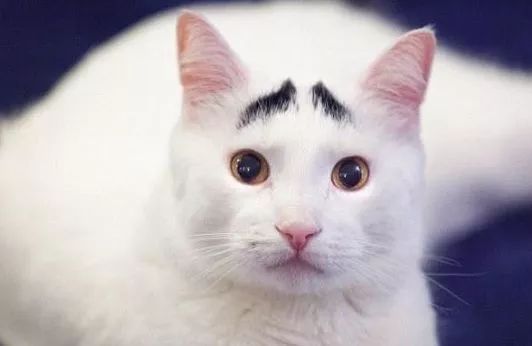 一二十块的化妆品真的好吗,这十种化妆品不需要买